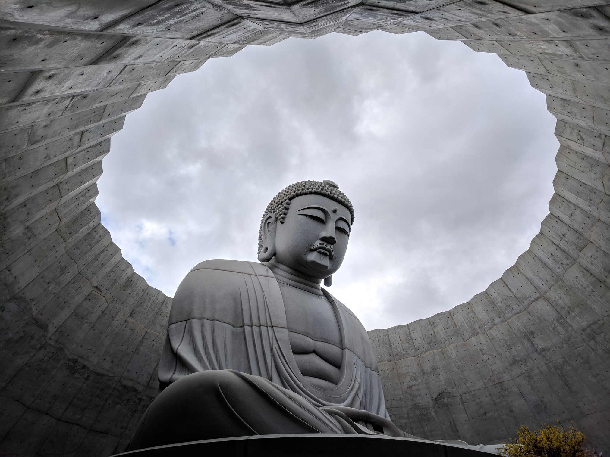 Buddha statue bathed in light