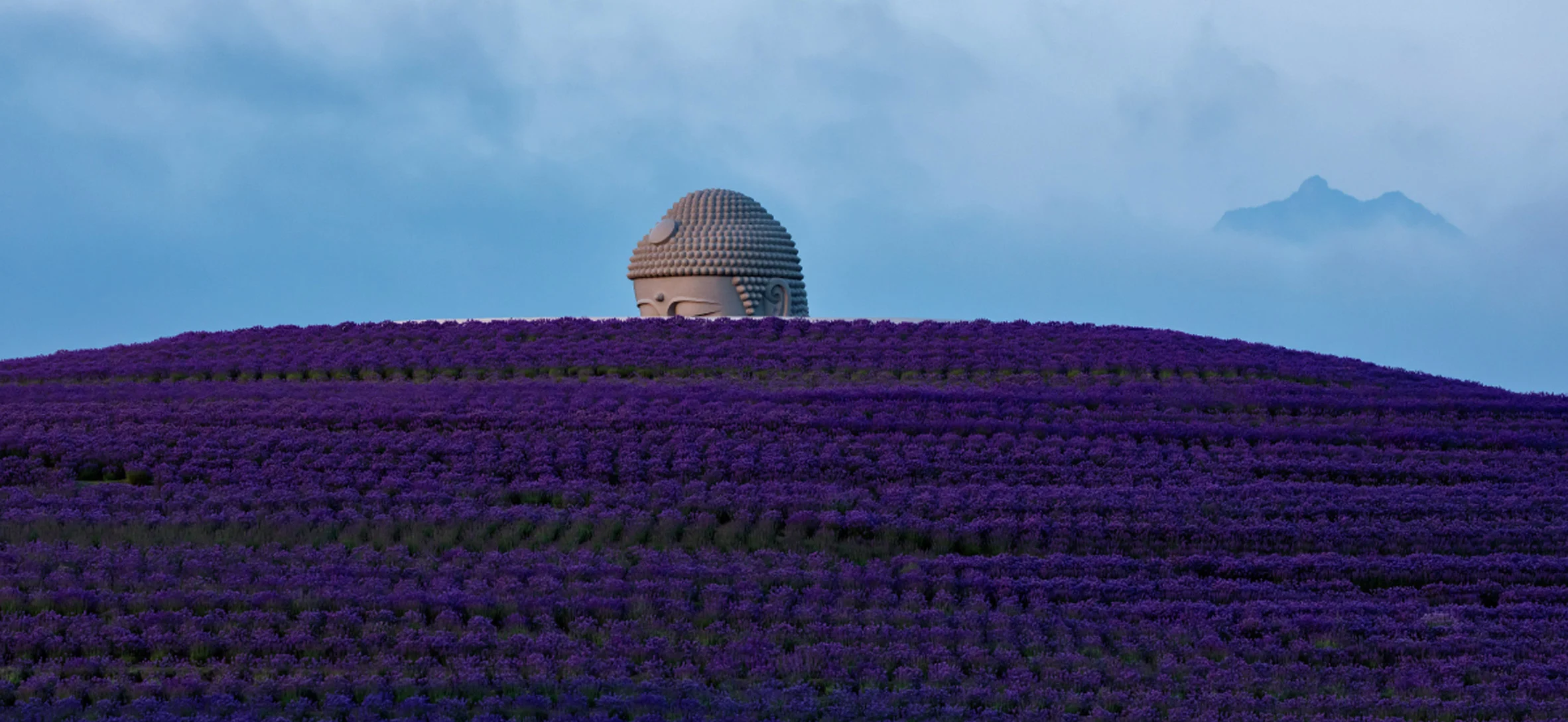 Buddha statue peeking out